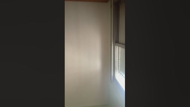 SunshineLuz