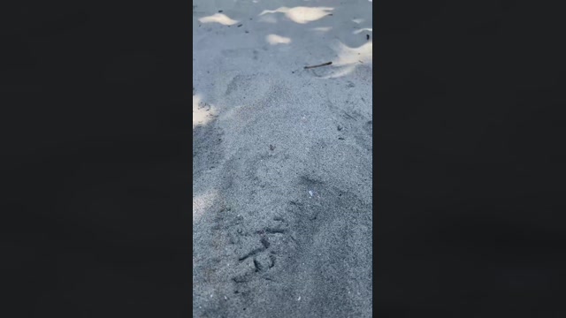 gipoltergeist