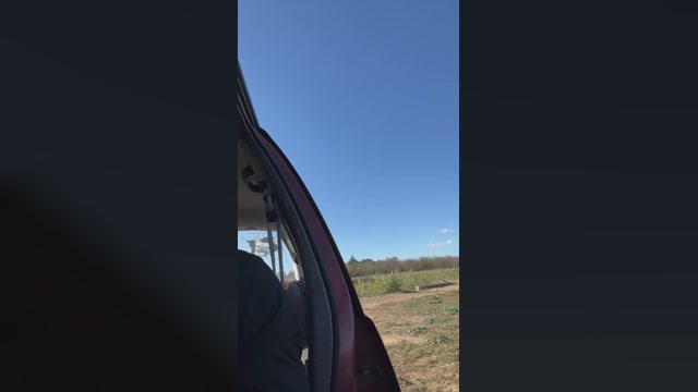 Jorisback  10-11-2022 Recorded Video bigdick