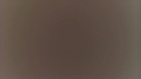 SexyLiviaa 11-11-2022 fuckface 