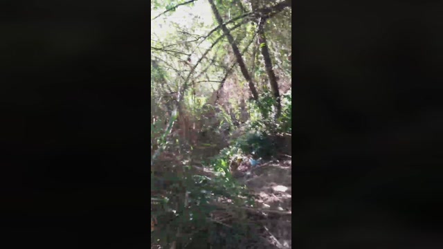 Synbaherrera  10-11-2022 Recorded Video hardcock