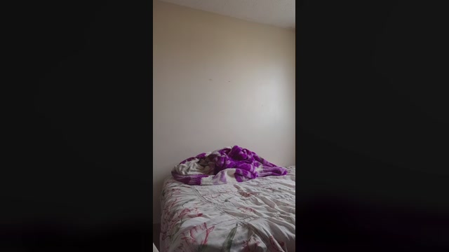 Camilavegas