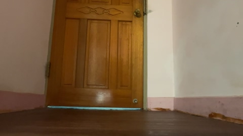 Hotbottom41  12-11-2022 Recorded Video skinny