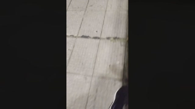 ceniseroloco  11-11-2022 Recorded Video dirty
