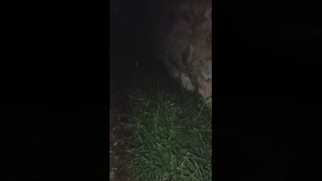 Looper72  12-11-2022 Recorded Video suckshow