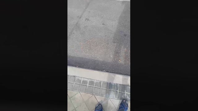 Truck_sex  13-11-2022 Recorded Video fuckface