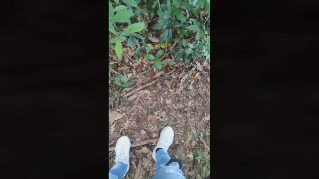 ROD_pigSQUIRT  13-11-2022 Recorded Video suckcock