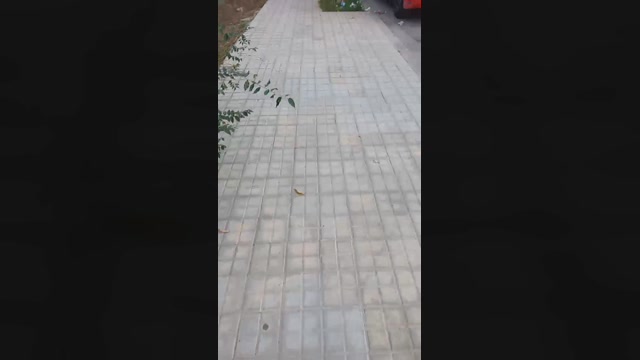 Truck_sex  14-11-2022 Recorded Video Porn