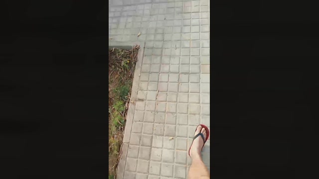 Truck_sex  15-11-2022 Recorded Video wank