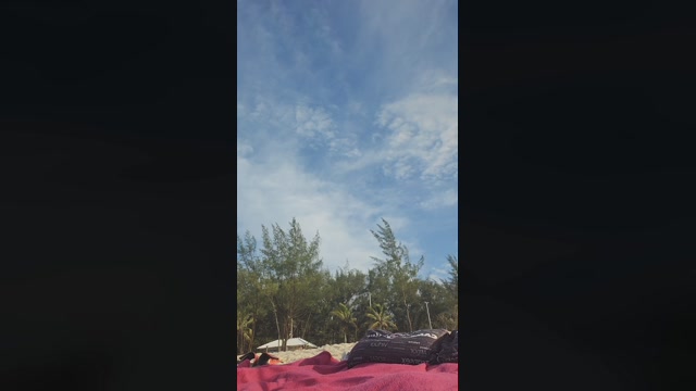 Melissalisboa_ 16-11-2022 Video 