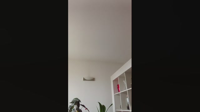 lamberto91  17-11-2022 Recorded Video beautiful