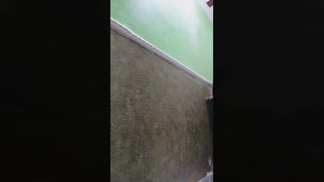 Nicoll_younpig 17-11-2022 sucktits 