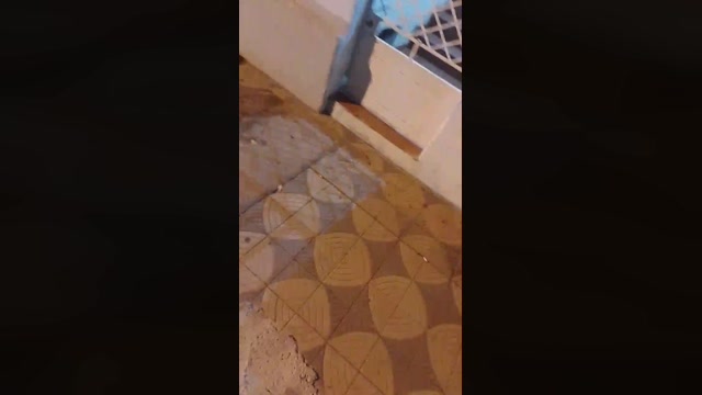 guilherme230e  18-11-2022 Recorded Video bigballs