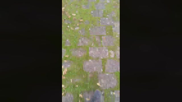 Truck_sex  20-11-2022 Recorded Video fuck