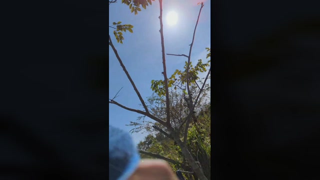 tarcton78  19-11-2022 Recorded Video Naked