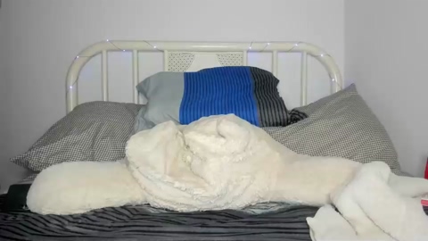 willyt98  19-11-2022 video play