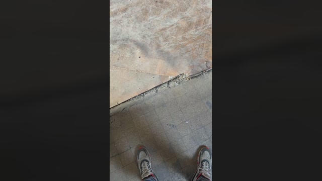 Jorisback  20-11-2022 Recorded Video bigballs