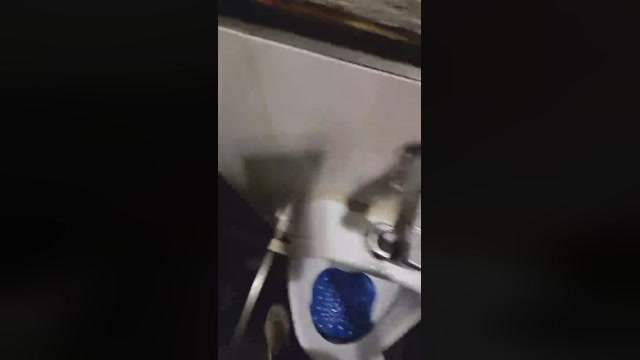 NovoHetero20cm  21-11-2022 Recorded Video toys