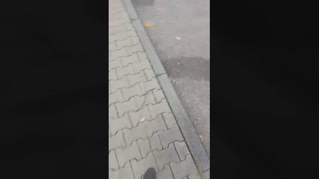 Truck_sex  22-11-2022 Recorded Video amateur