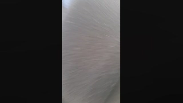 eveangelll 22-11-2022 play 
