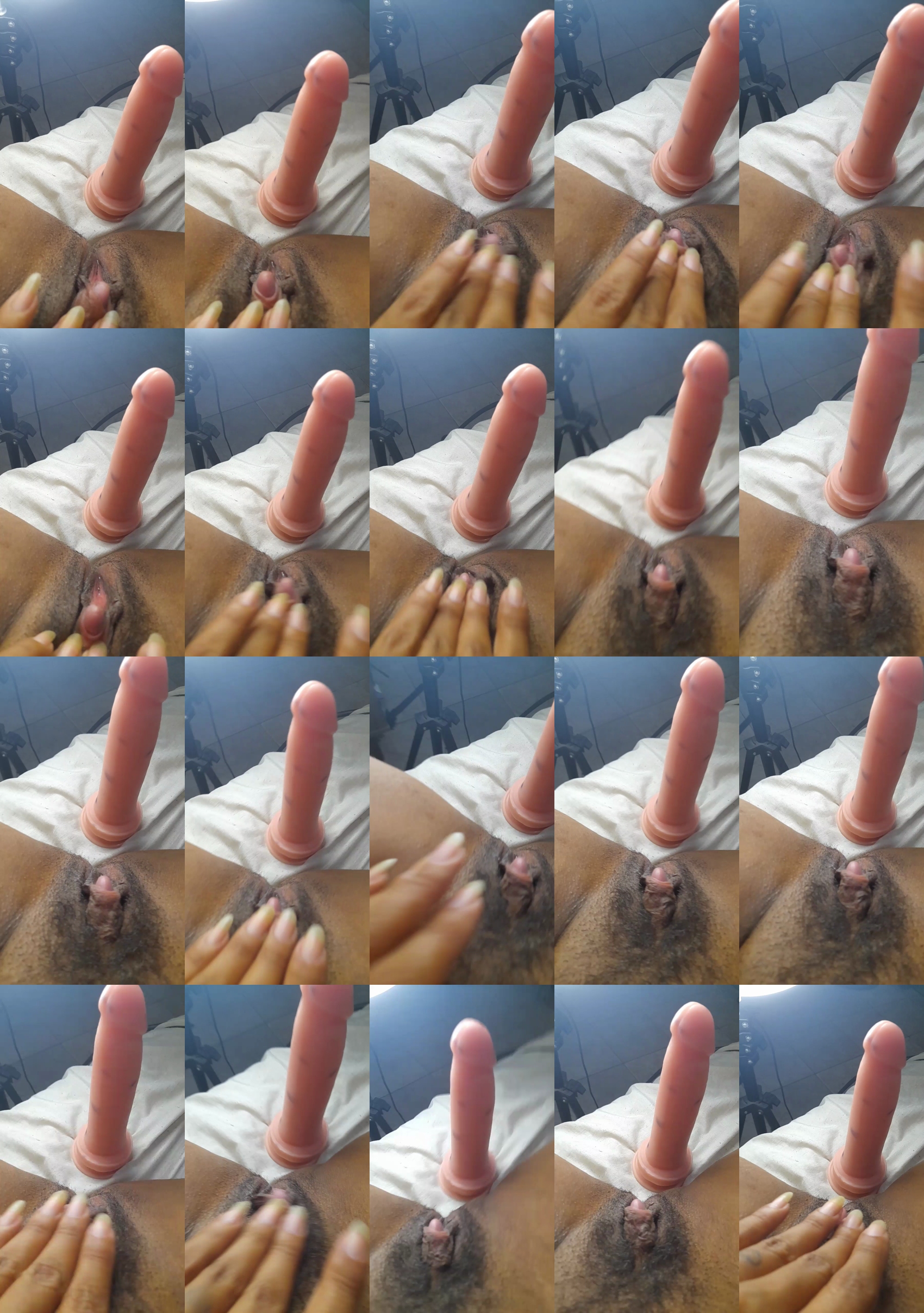 Berlota 22-11-2022 suckcock 