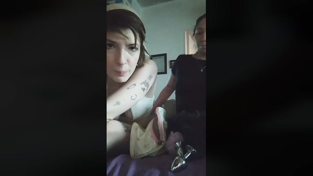alexa_kitten