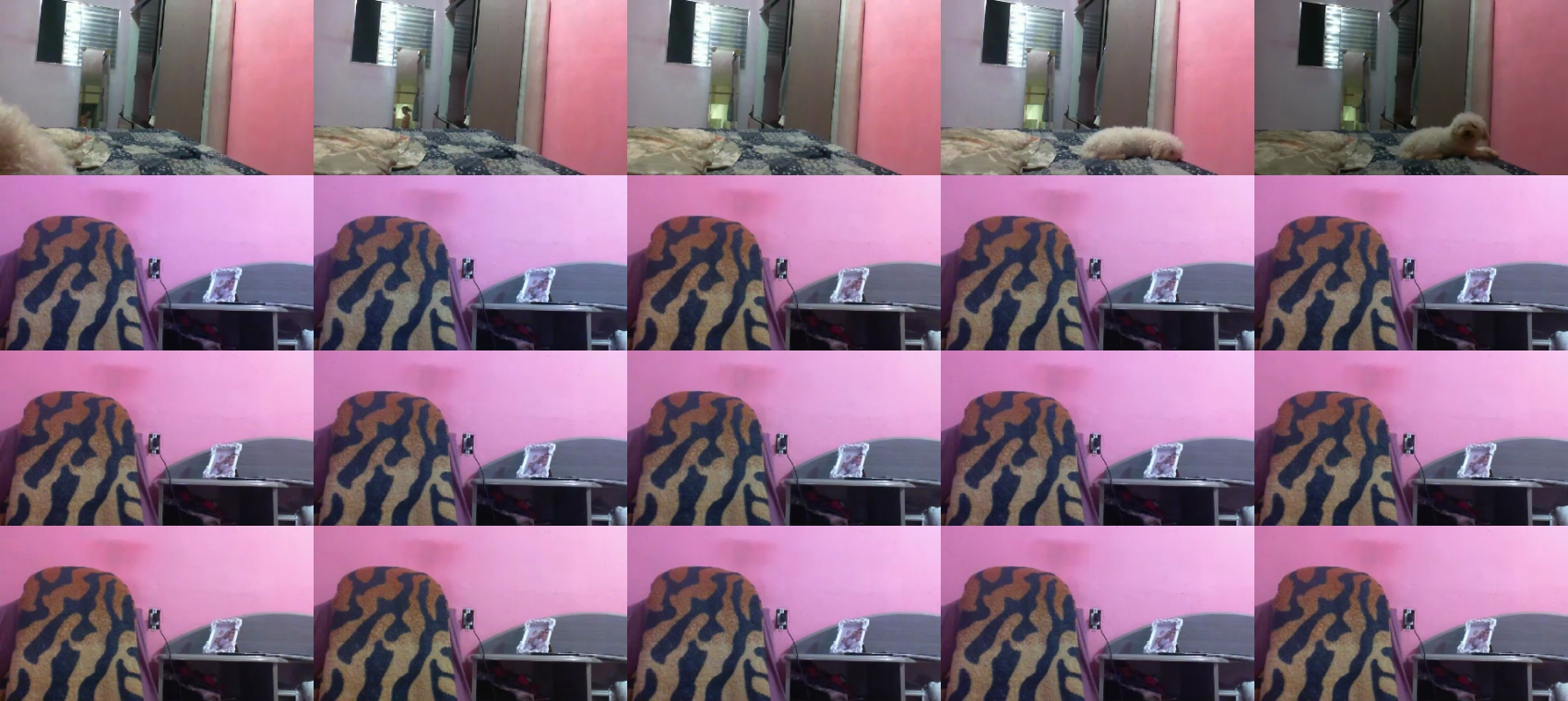 singlecarinhoso  22-11-2022 Recorded Video fuckher