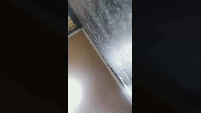 show130  23-11-2022 Recorded Video bigload