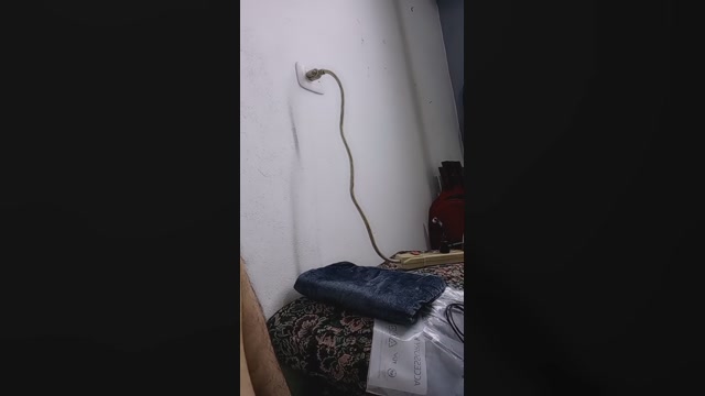 Yose1991  23-11-2022 Recorded Video cute
