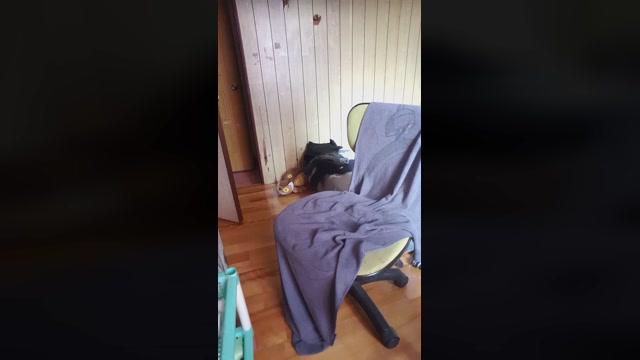 bobo_chi  25-11-2022 Recorded Video deepthroat
