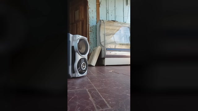 rodrigo3283  25-11-2022 Recorded Video gag