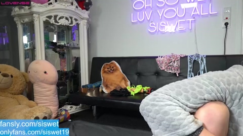 siswet19  25-11-2022 love Females