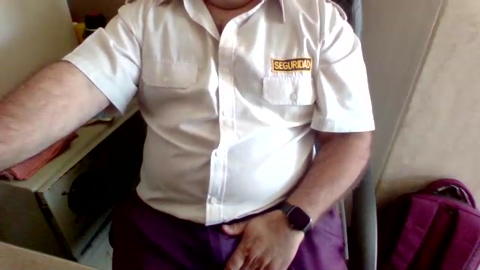 Bearpalermo