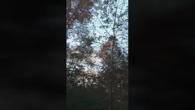andregrosso24  26-11-2022 Recorded Video fuck