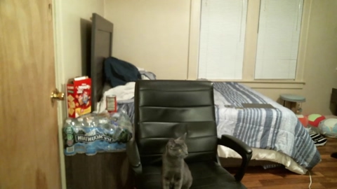 sexylax69  26-11-2022 video hardcock