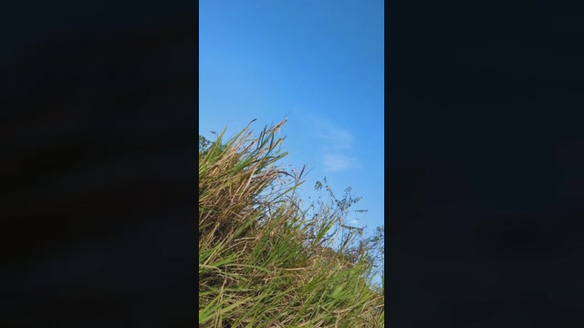 tarcton78  26-11-2022 Recorded Video love