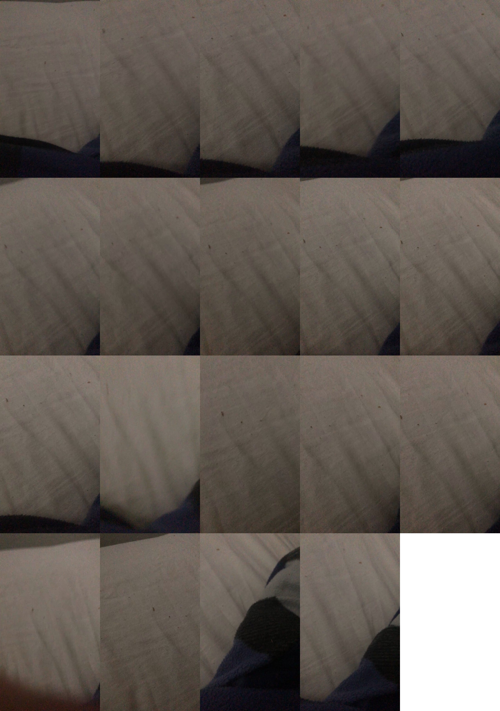 Romero16287  28-11-2022 Recorded Video fuck