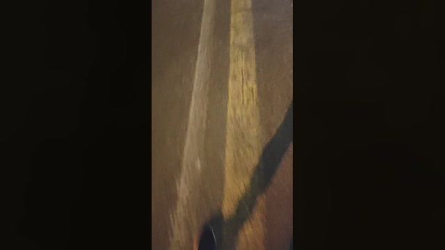 JackFarfallino  28-11-2022 Recorded Video jerkoff