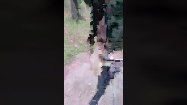 JackFarfallino  29-11-2022 Recorded Video bigdick
