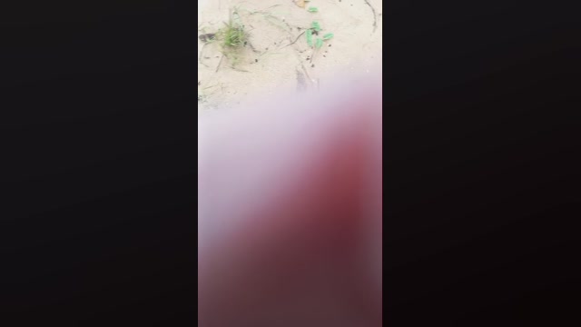 Jebagulosa  28-11-2022 Recorded Video beautiful