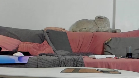 orlandocolt  28-11-2022 video lick