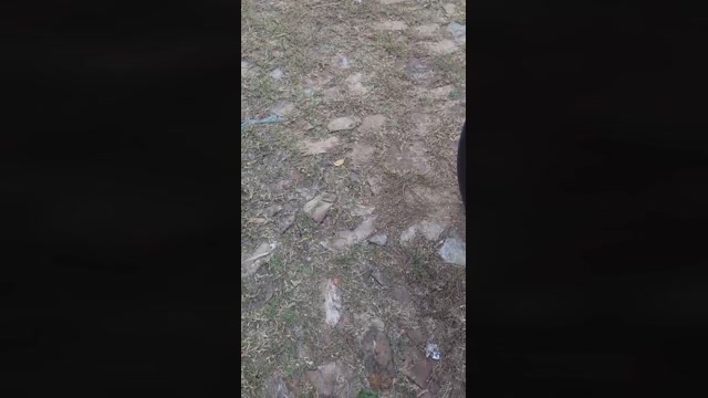 Mlknv18  29-11-2022 Recorded Video fuckface