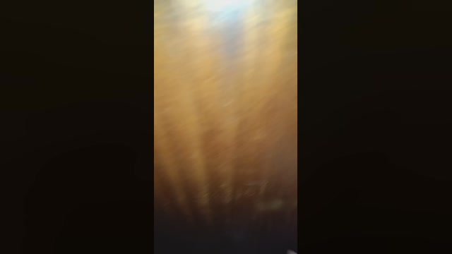 Smiile69  29-11-2022 Recorded Video gag