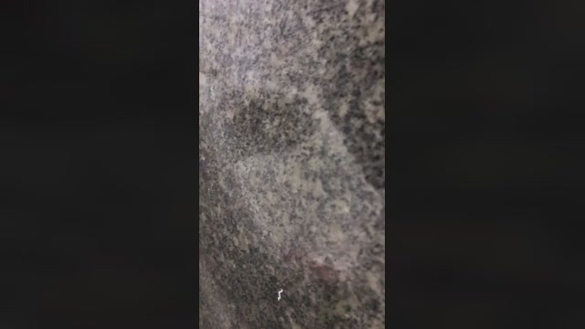 emfiatud  29-11-2022 Recorded Video jerkoff