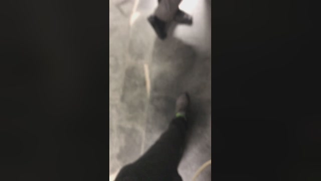 emfiatud  29-11-2022 Recorded Video jerkoff