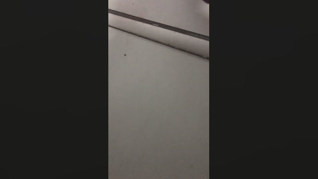 emfiatud  29-11-2022 Recorded Video toys
