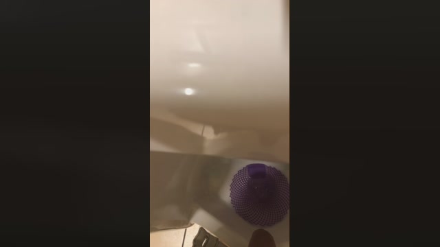 Dapehur  02-12-2022 Recorded Video big