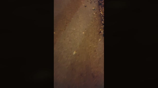 JackFarfallino  02-12-2022 Recorded Video blowjob