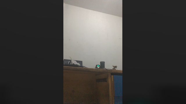 Mister_sexy18  02-12-2022 Recorded Video cute
