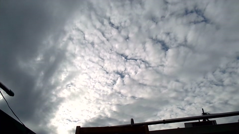 pao_onsen2  03-12-2022 Recorded Video toy